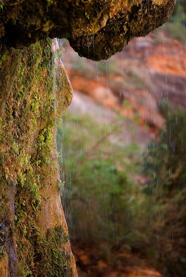 Weeping rock.jpg
